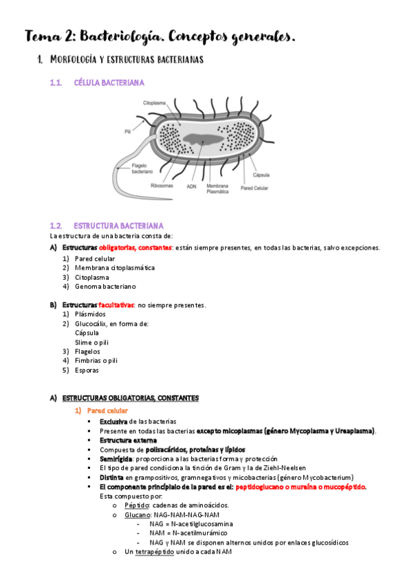 Miniatura del documento Tema-2.pdf