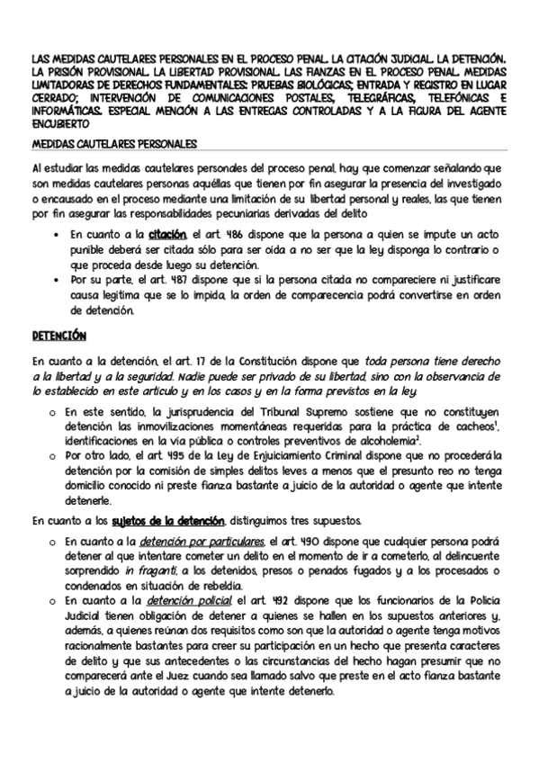 Miniatura del documento MEDIDAS-CAUTELARES.pdf