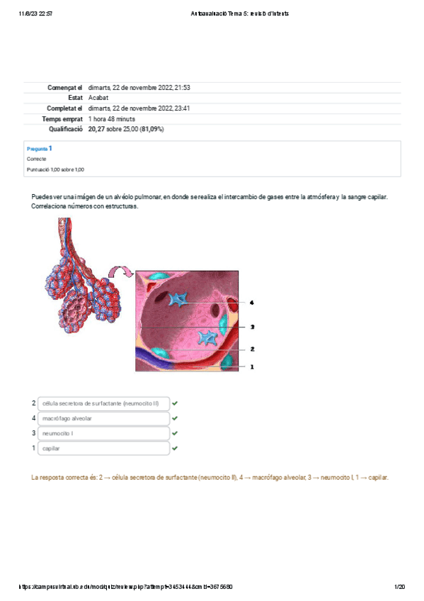 Miniatura del documento autoavaluacio-tema-5-anato.pdf