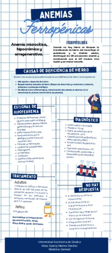 Miniatura del documento Anemias ferropenicas.pdf