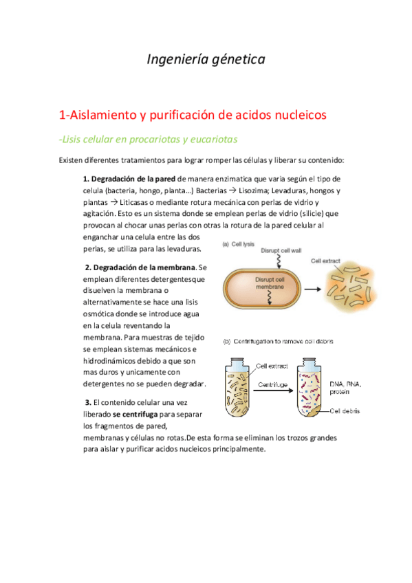 Miniatura del documento Ingeniería genetica .pdf