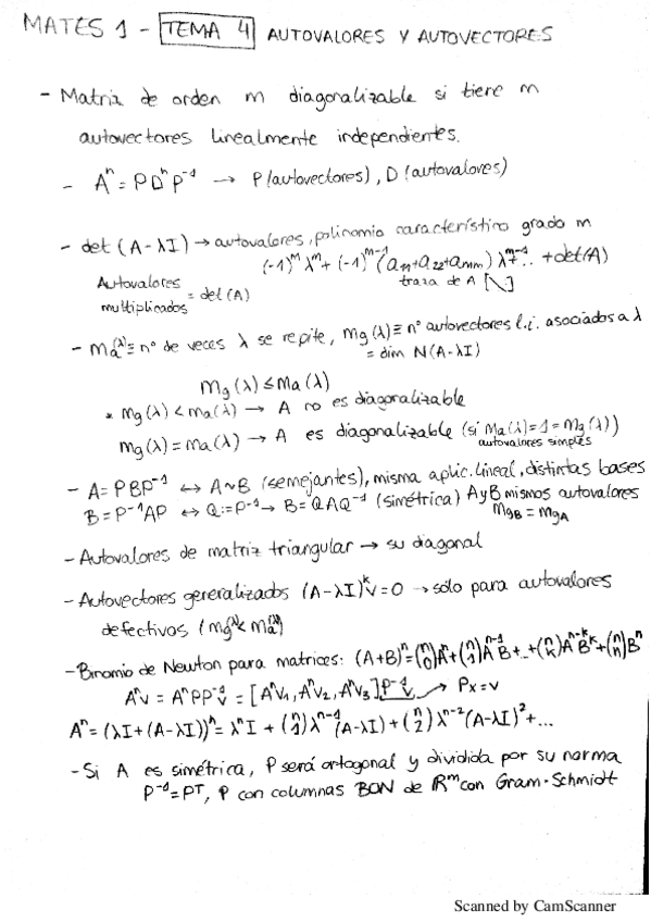 Miniatura del documento Tema4 - Mates1.pdf