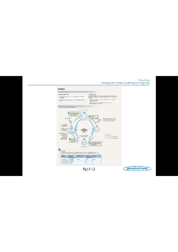 Miniatura del documento Todo-el-temario-fisiologia-humana-14.pdf