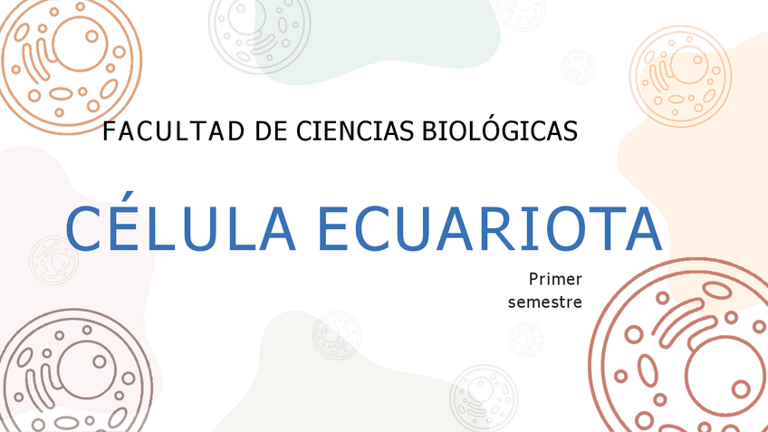 Miniatura del documento Celula-Ecuariota.pdf