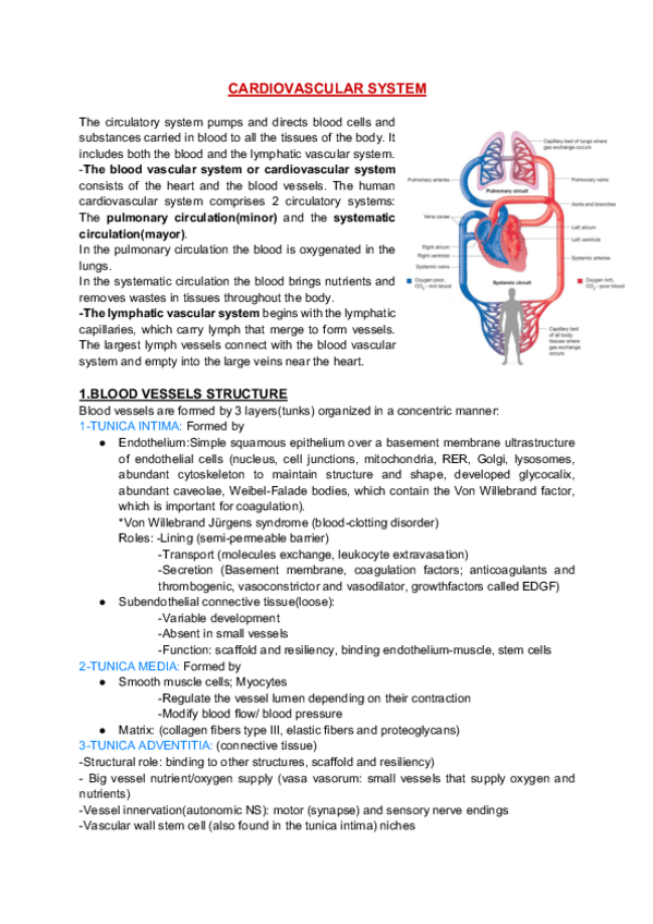 Miniatura del documento Cardio-and-urinary.pdf