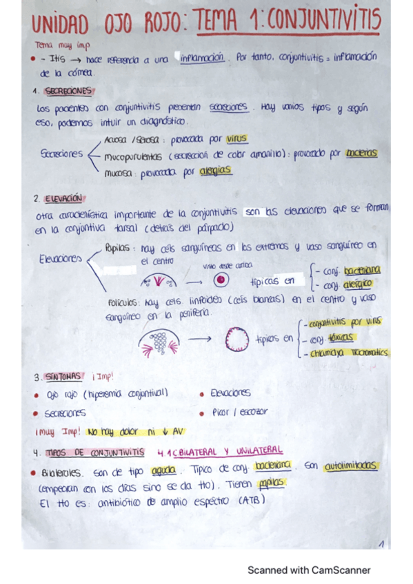 Miniatura del documento Temario-completo-resumido.pdf