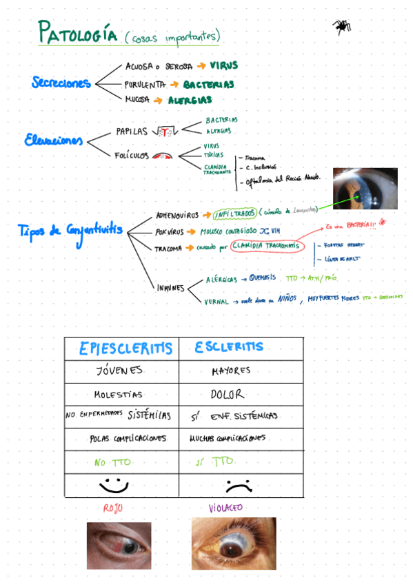 Miniatura del documento Resumen-importante-para-examen.pdf