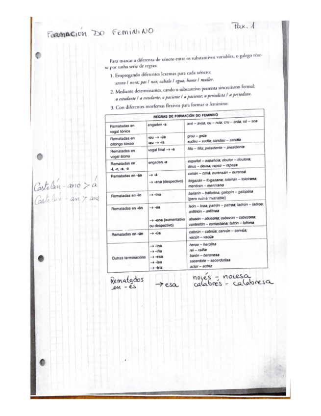 Miniatura del documento Formacion-do-feminino.pdf