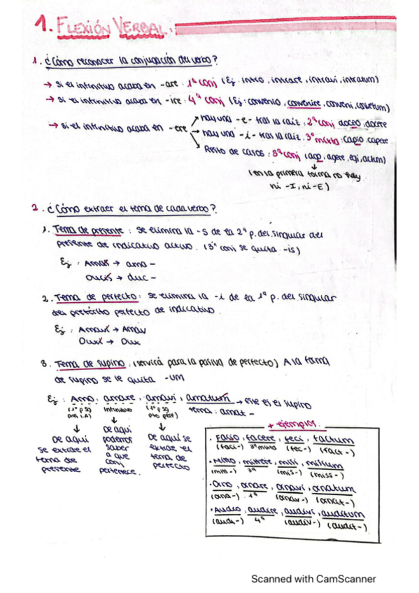 Miniatura del documento Gramática Latin completa + oraciones de ejemplo.pdf