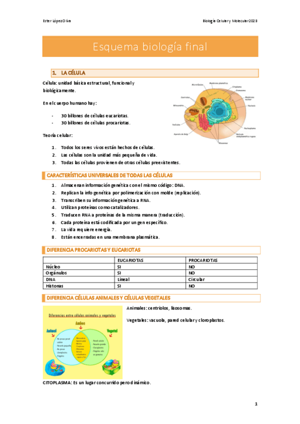 Miniatura del documento Esquema-biologia-final.pdf