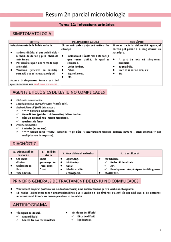 Miniatura del documento Resum-2n-parcial.pdf
