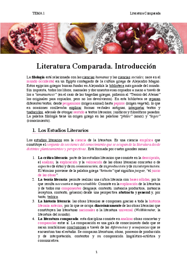 Miniatura del documento tema-1.-Introduccion-a-la-Literatura-Comparada.pdf