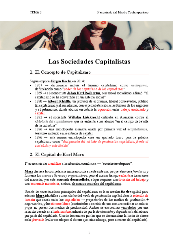 Miniatura del documento tema-3.-Las-Sociedades-Capitalistas.pdf
