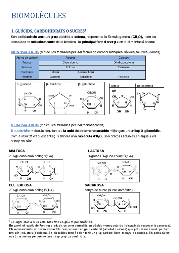 Miniatura del documento Biologia-2n-batxillerat.pdf