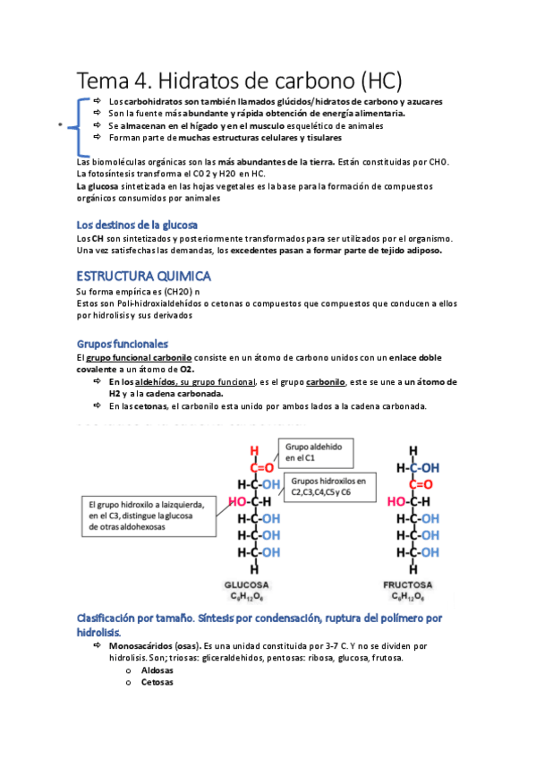Miniatura del documento Tema-4.-HC.pdf