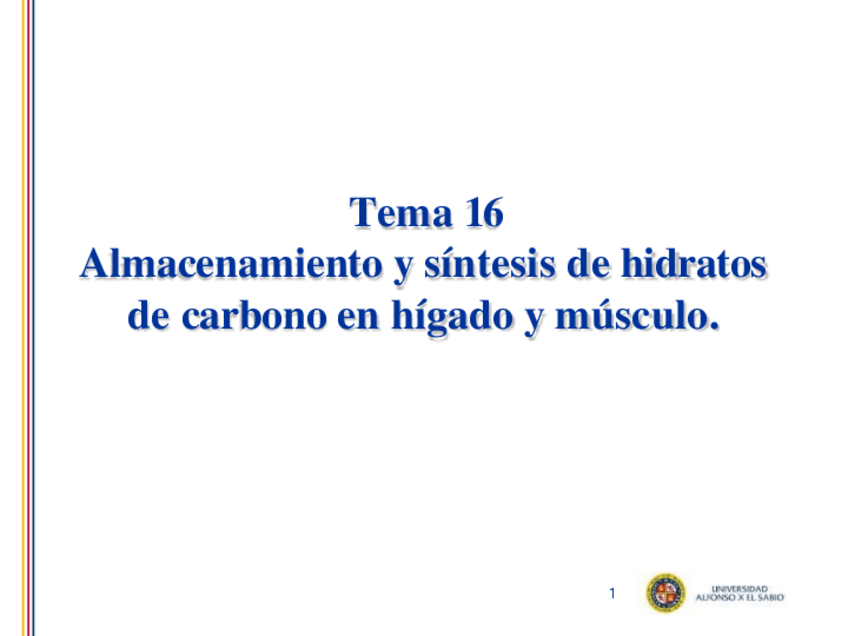 Miniatura del documento Tema-16.-Almacenamiento-y-sintesis-de-hidratos-de-carbono-en-higado-y-musculo.-4.pdf