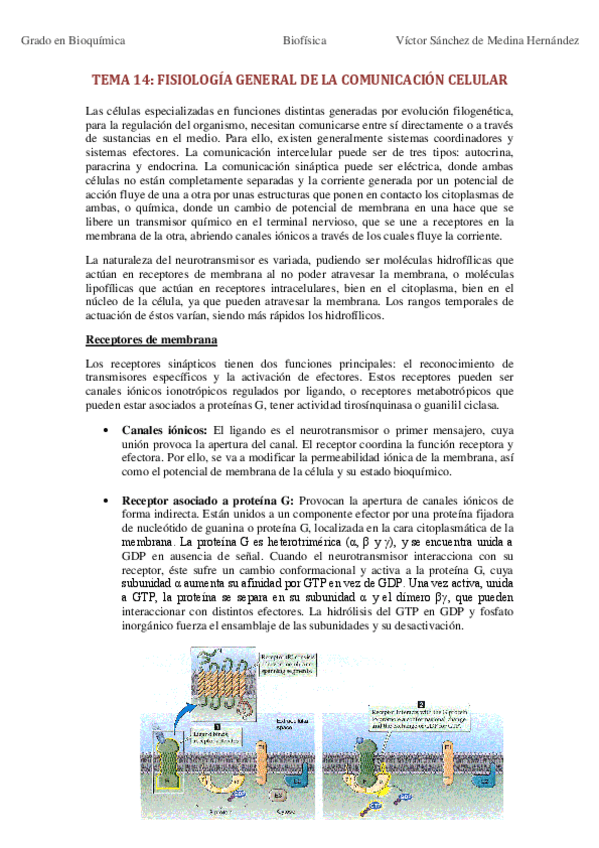 Miniatura del documento Bloque IV. Comunicación y Señalización Celular.pdf