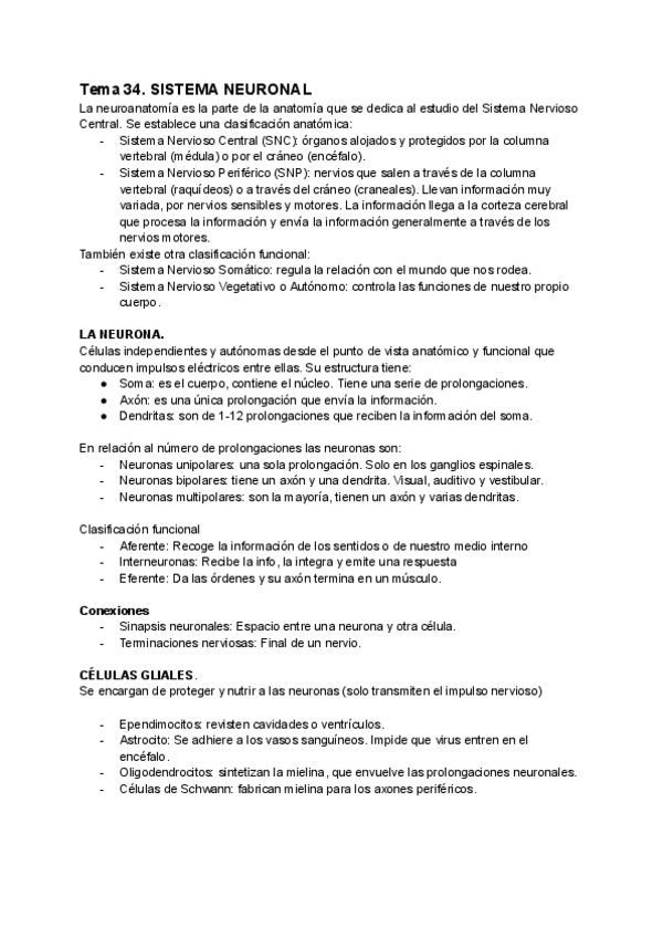 Miniatura del documento TEMA-34-SISTEMA-NEURONAL-ANATOMIA.pdf