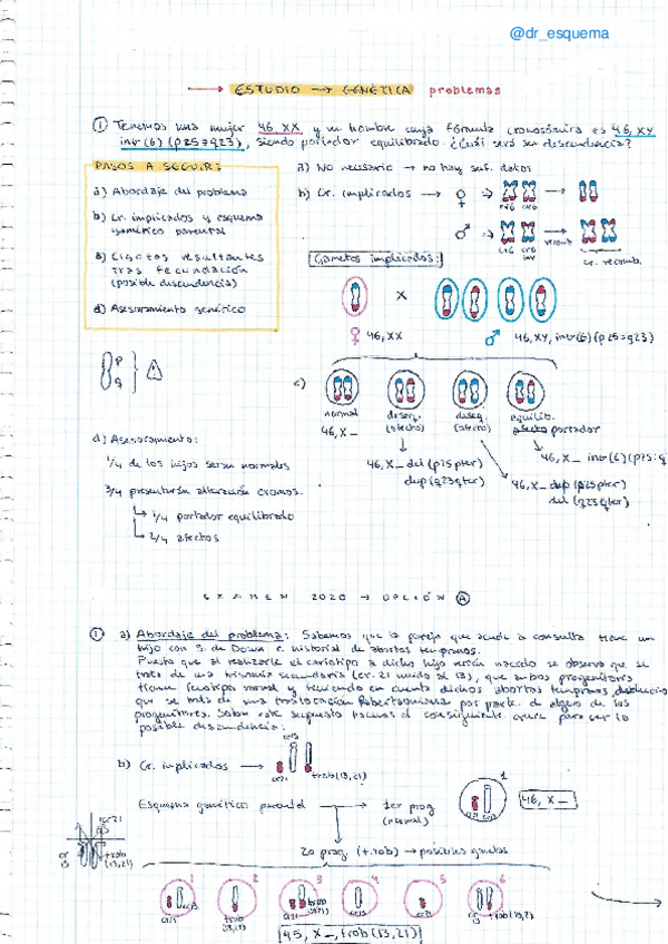 Miniatura del documento Libreta-de-problemas-genetica.pdf