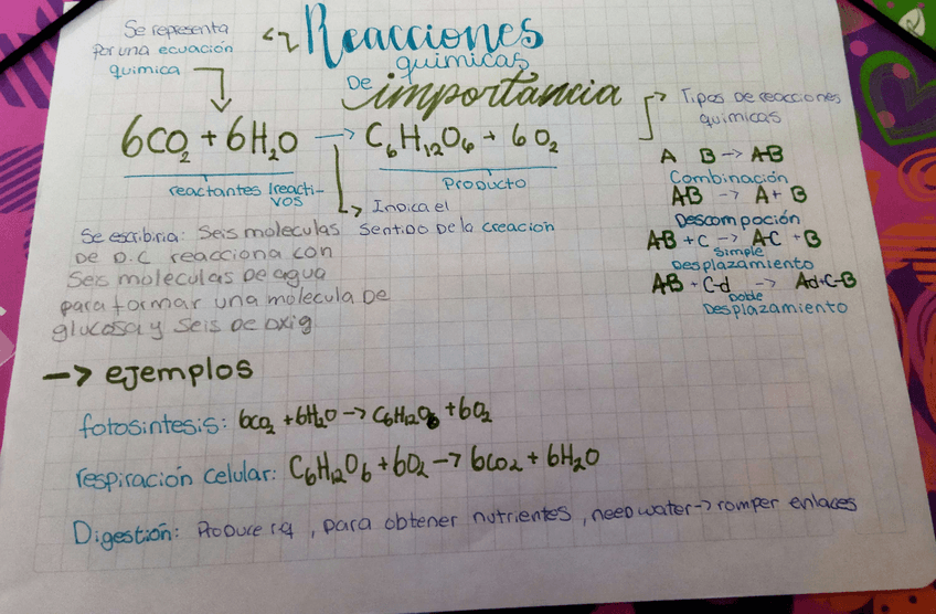 Miniatura del documento Reacciones-Quimicas.pdf