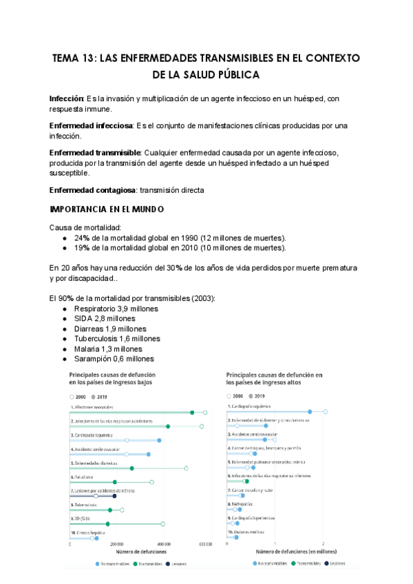 Miniatura del documento Resumen-T13-Salud-Publica.pdf