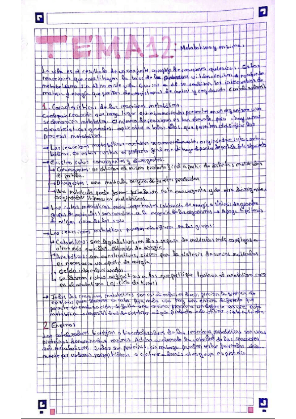 Miniatura del documento Bloque-III-metabolismo.pdf