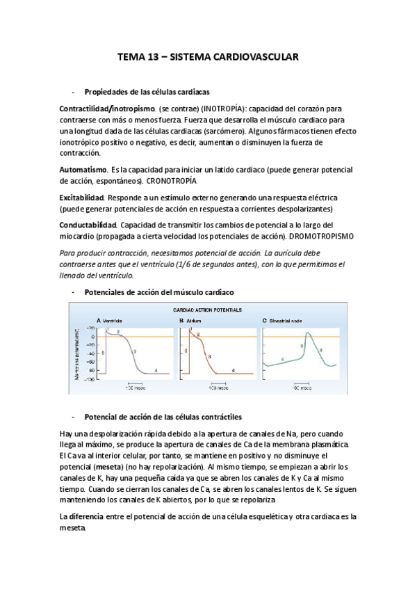 Miniatura del documento Tema-13-Sistema-cardiovascular.pdf