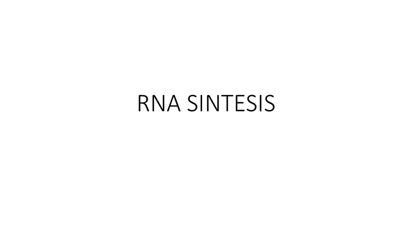 Miniatura del documento RNA-SINTESIS.pdf