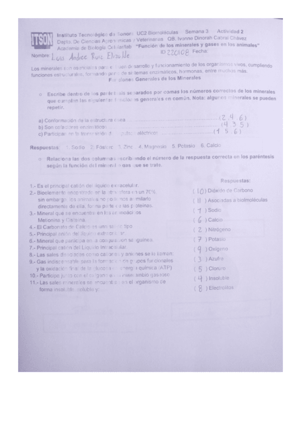 Miniatura del documento Actividad-MInerales-y-Gases.pdf