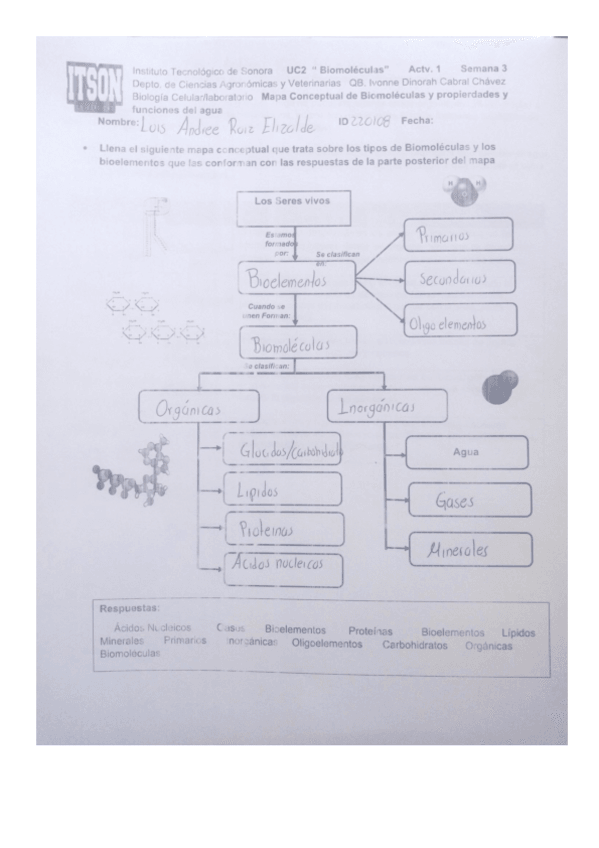 Miniatura del documento Mapa-mental-Bioelementos.pdf