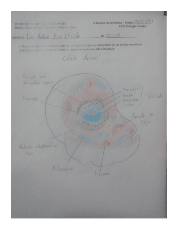 Miniatura del documento Actividad-Integradora-semana-2.pdf