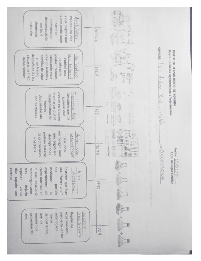 Miniatura del documento Actividad-Teorias-del-origen-de-la-vida.pdf