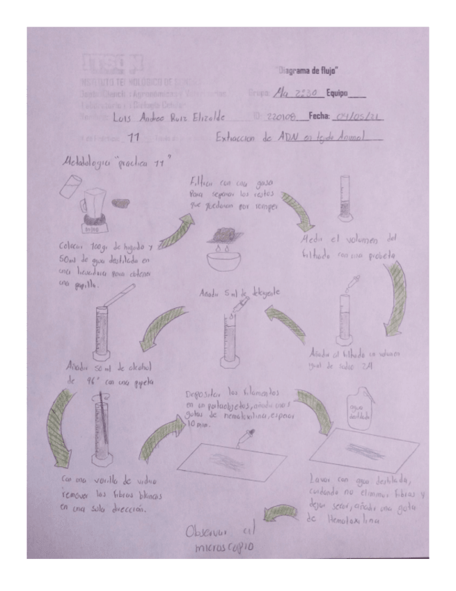 Miniatura del documento Diagrama-P11.pdf