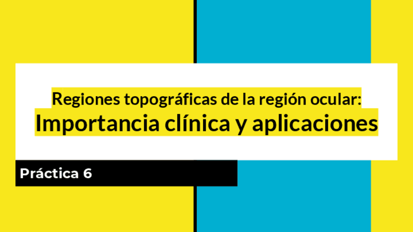 Miniatura del documento DP-6-Regiones-topograficas-de-la-region-ocular-Importancia-clinica-y-aplicaciones-1.pdf
