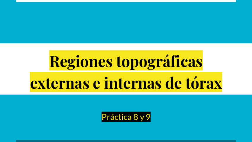Miniatura del documento DP-8-y-9-Regiones-topograficas-externas-e-internas-de-torax.pdf