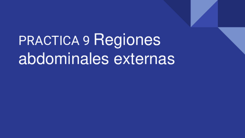 Miniatura del documento DP-9-Regiones-abdominales-externas-2.pdf