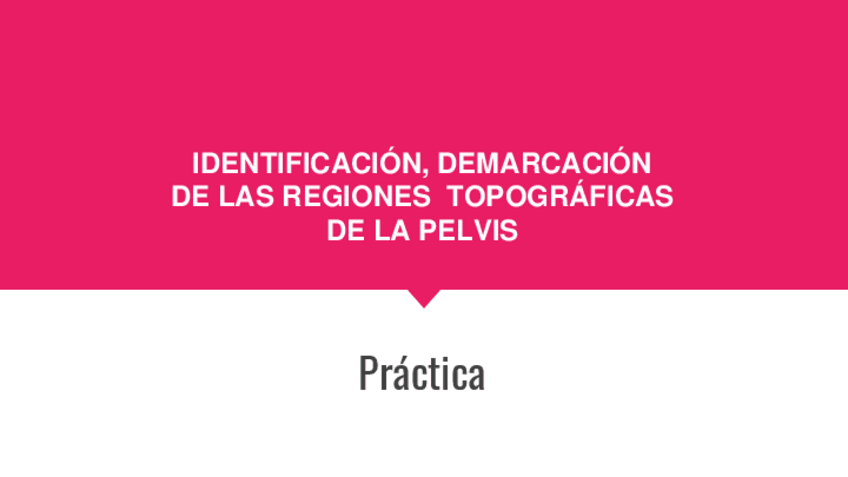 Miniatura del documento DP-12-Topografia-externa-de-la-pelvis.pdf