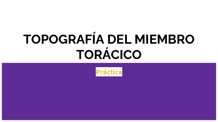 Miniatura del documento DP-13-TOPOGRAFIA-DEL-MIEMBRO-TORACICO.pdf