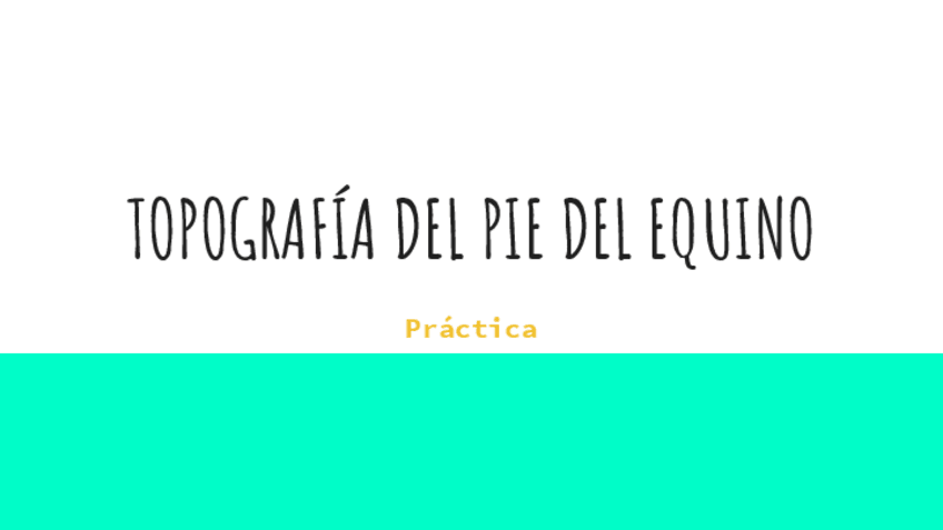 Miniatura del documento DP-14-TOPOGRAFIA-DEL-PIE-DEL-EQUINO.pdf