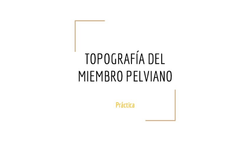 Miniatura del documento DP-15-TOPOGRAFIA-DEL-MIEMBRO-PELVIANO.pdf