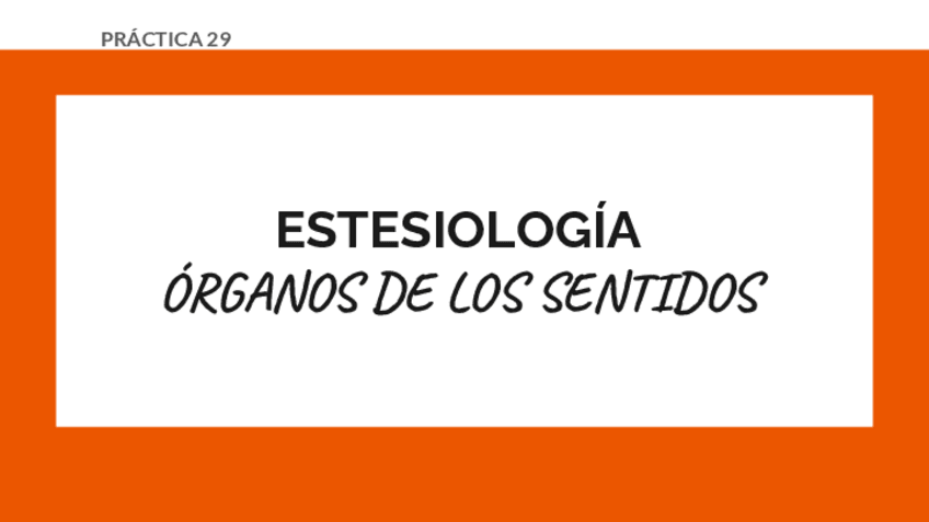 Miniatura del documento DP-29-ESTESIOLOGIA-ORGANOS-DE-LOS-SENTIDOS.pdf