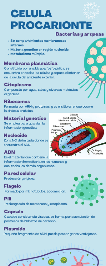 Miniatura del documento Celula-procarionte.pdf