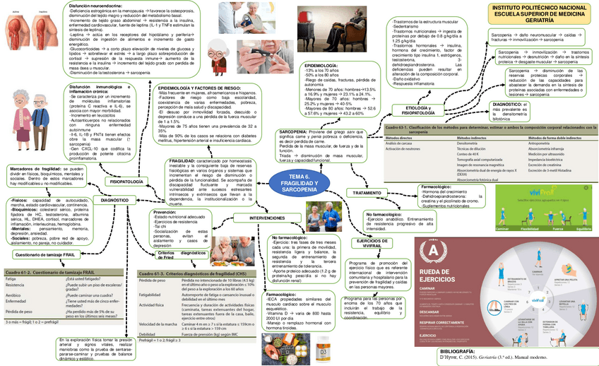 Miniatura del documento Fragilidad-y-sarcopenia.pdf