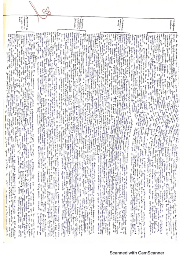 Miniatura del documento segundo-franquismo.pdf