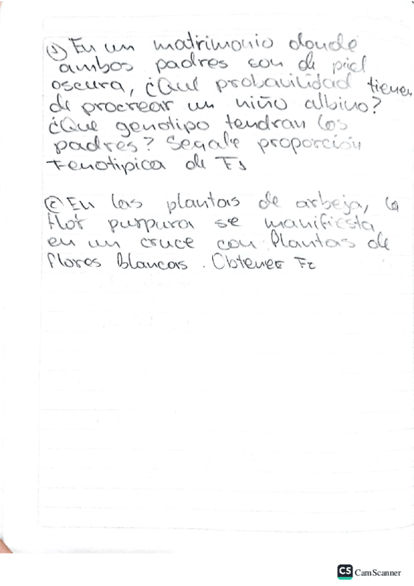 Miniatura del documento Ejercicios-de-la-1ra-Ley-de-Mendel.pdf