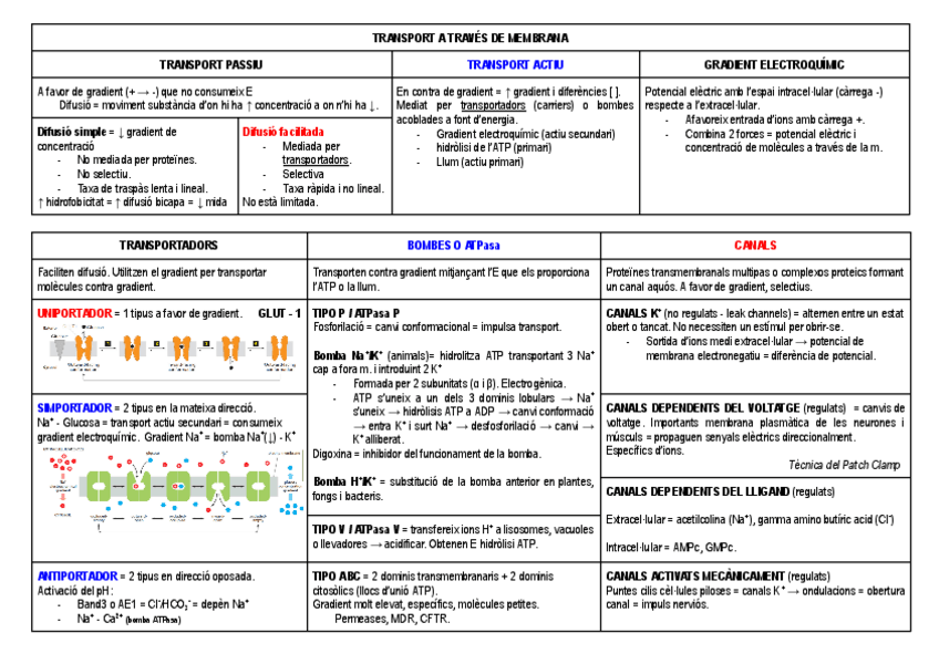 Miniatura del documento transport.pdf