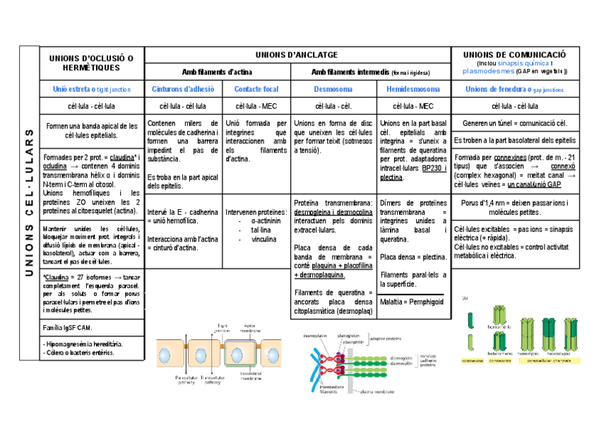 Miniatura del documento unions-cel.pdf