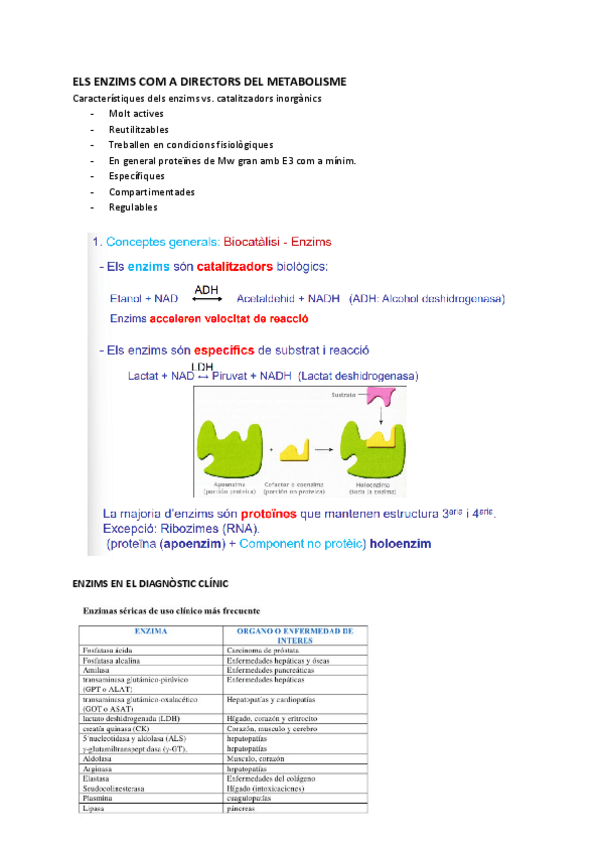 Miniatura del documento T3-enzimologia.pdf