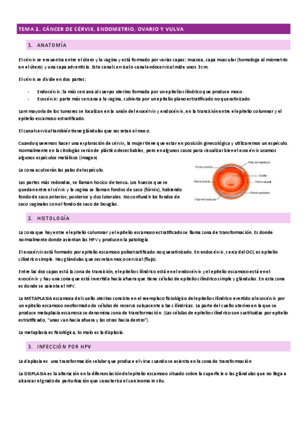 Miniatura del documento Tema-2.-Cancer-de-cerviz-endometrio-ovario-y-vulva.pdf