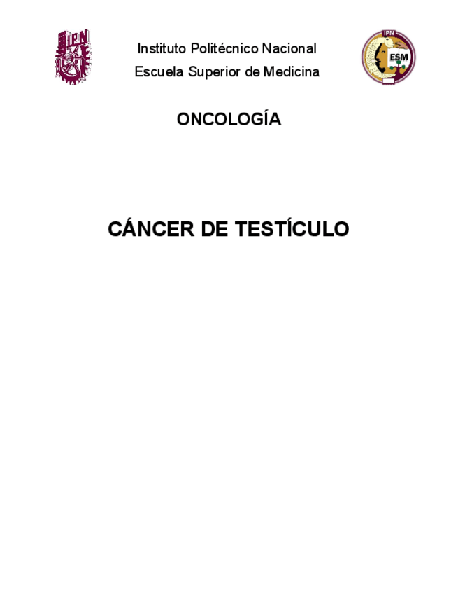 Miniatura del documento Cancer-de-Testiculo.pdf